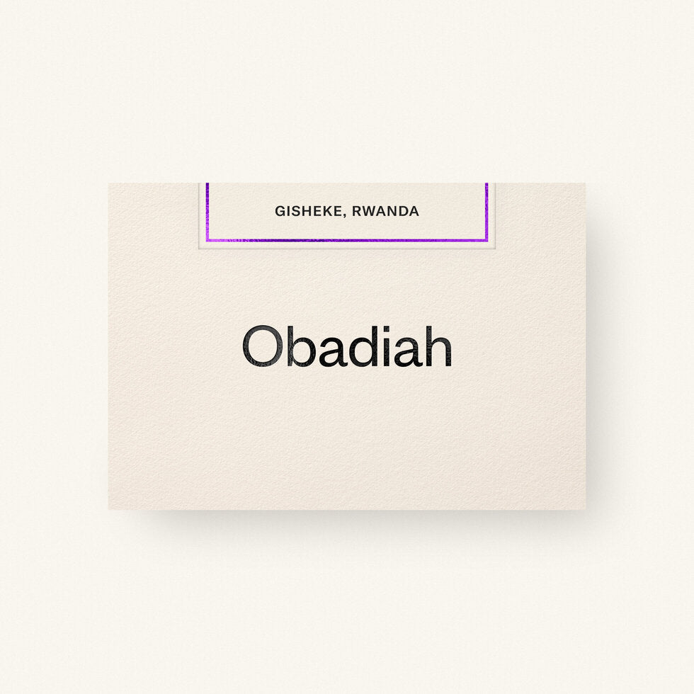 Obadiah | Gisheke, Rwanda (Washed)