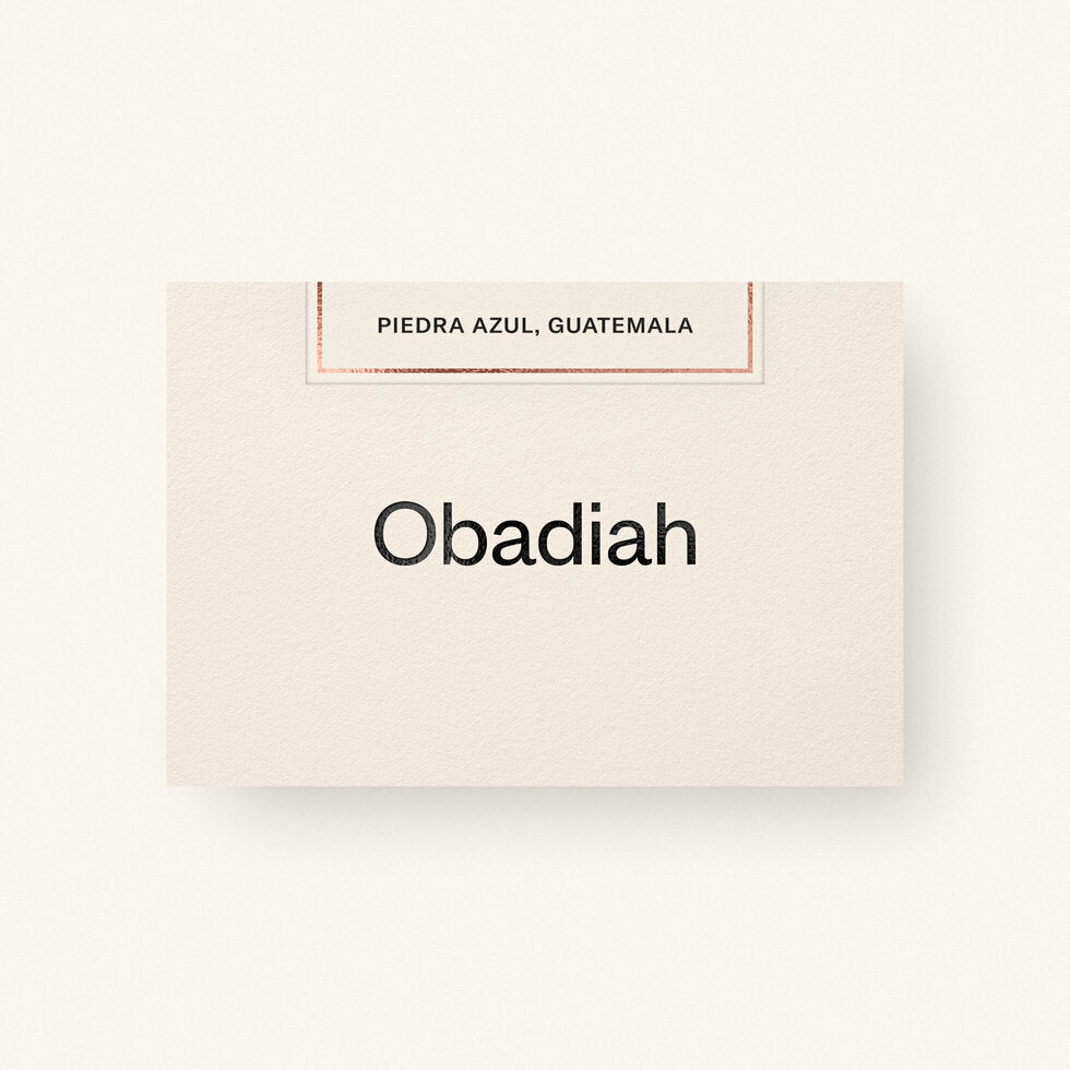 Obadiah | Piedra Azul, Guatemala (Washed)