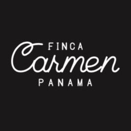 Carmen - Panama | Washed, Geisha [Filter / Ex Light]