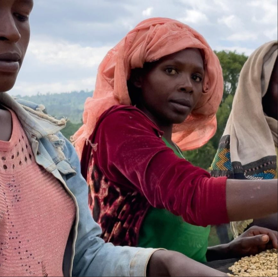 Hambela - Ethiopia | 3days Anaerobic Natural, Landrace Lot [No Crack]