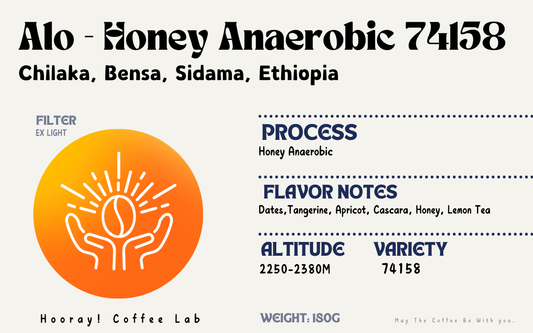 Alo - Ethiopia | Honey Anaerobic 74158 [Filter]