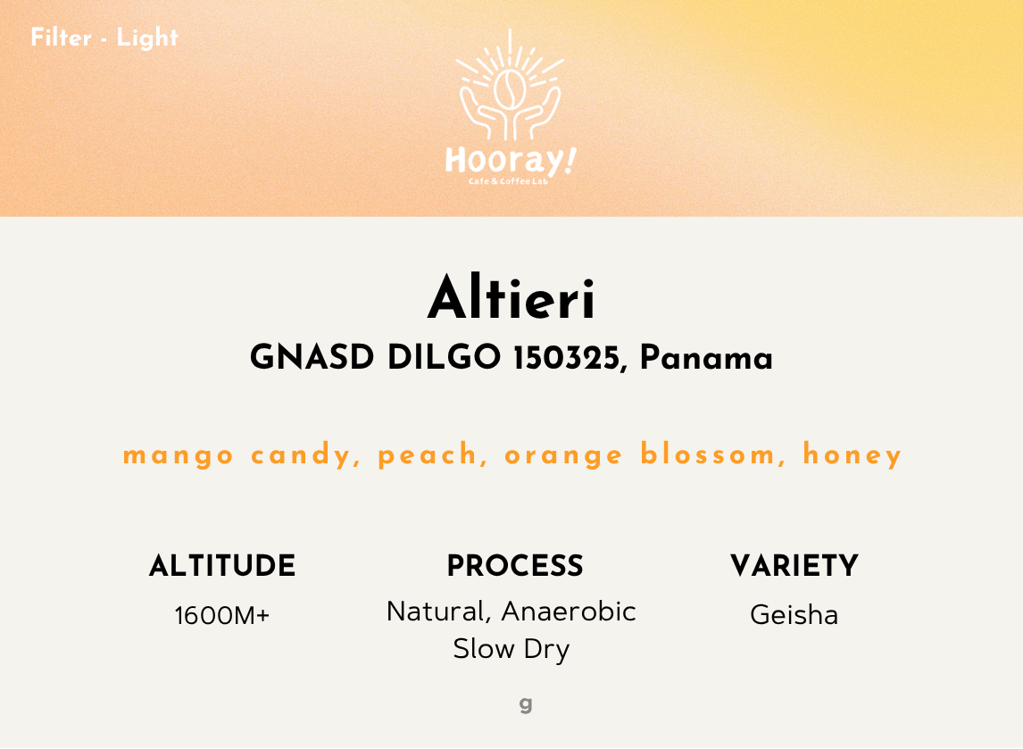 Altieri - Panama | ASD , Geisha DILGO Lot [Filter / Light]