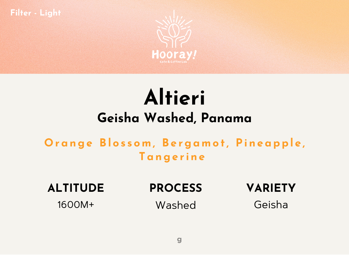 Altieri - Panama | Washed , Geisha DILGO Lot [Filter / Light]