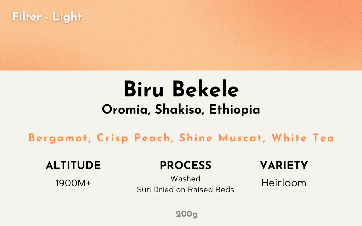 Biru Bekele - Ethiopia | Washed, Heirloom [Filter / Light]