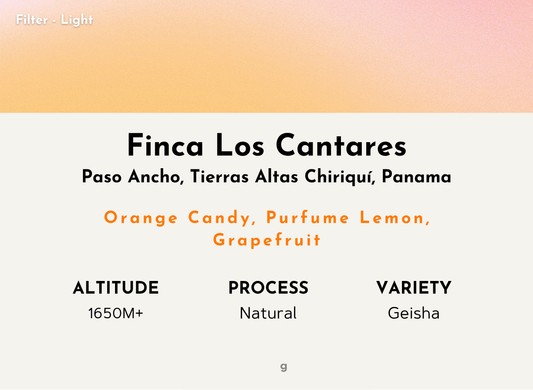 Los Cantares - Panama | Natural , Geisha [Filter / Light]