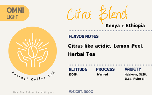Citra  Blend - Perfect Fit for Summer [Omni]
