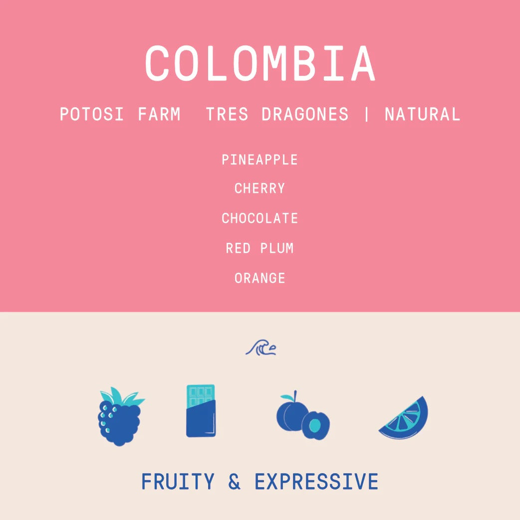 ROGUE WAVE - Colombia - Finca Potosi - Tres Dragones - Natural