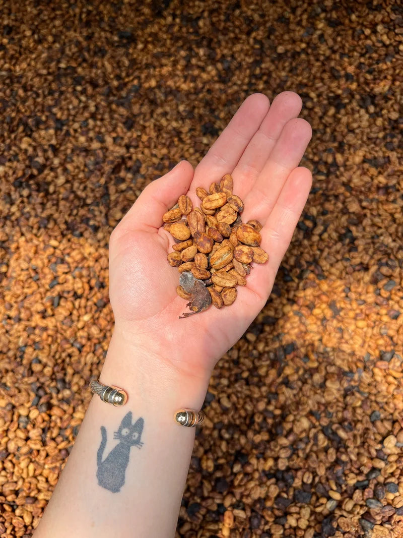 [Decaf] Colombia, Pink Bourbon, Swiss Water Emerald Micro Lot
