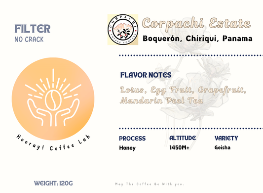Corpachi - Panama | Honey, Geisha [Filter / No Crack]
