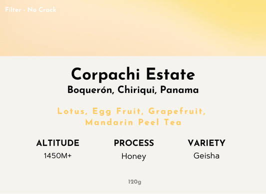 Corpachi - Panama | Honey, Geisha [Filter / No Crack]