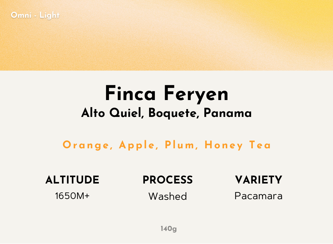 Finca Feryen - Panama | Washed, Pacamara [Omni]