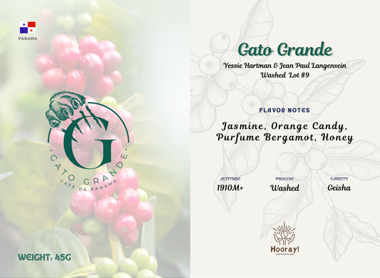 Gato Grande - Panama | Washed, Geisha Lot 9 [Filter / Ex Light]