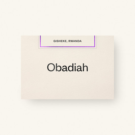 Obadiah | Gisheke, Rwanda (Washed)