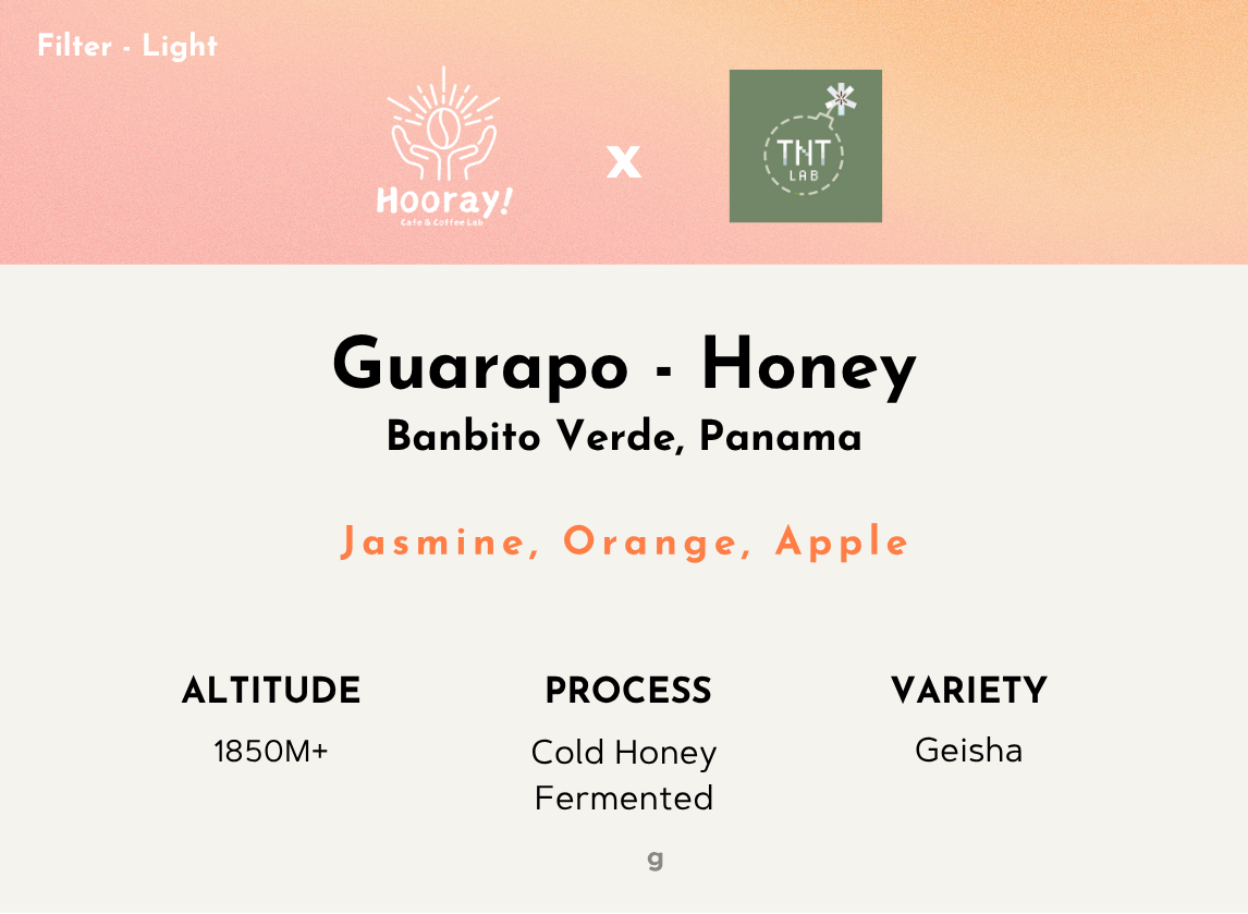 TNT Guarapo - Panama | Banbito Verde, Cold Honey Geisha [Filter / Light]