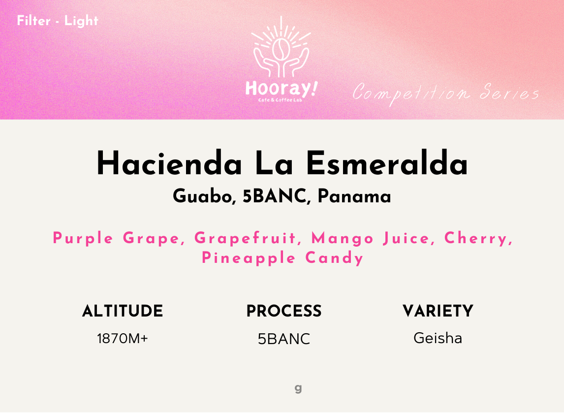 Hooray! Competition Special🎉 [Roasted on March 8th]