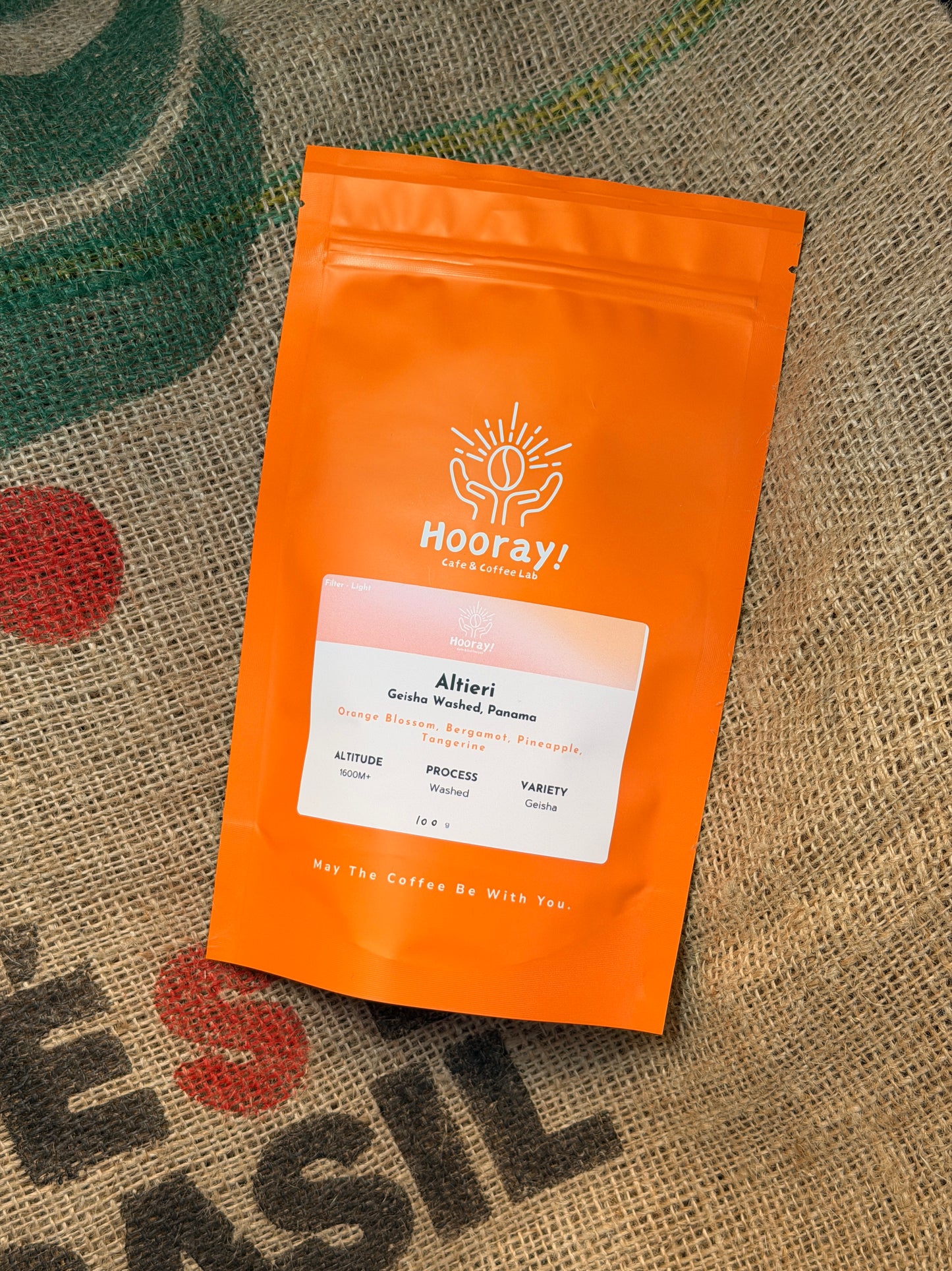 Altieri - Panama | Washed , Geisha DILGO Lot [Filter / Light]