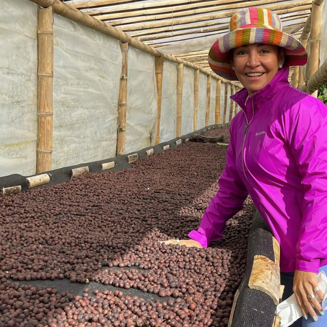 Finca Feryen - Panama | Washed, Pacamara [Omni]