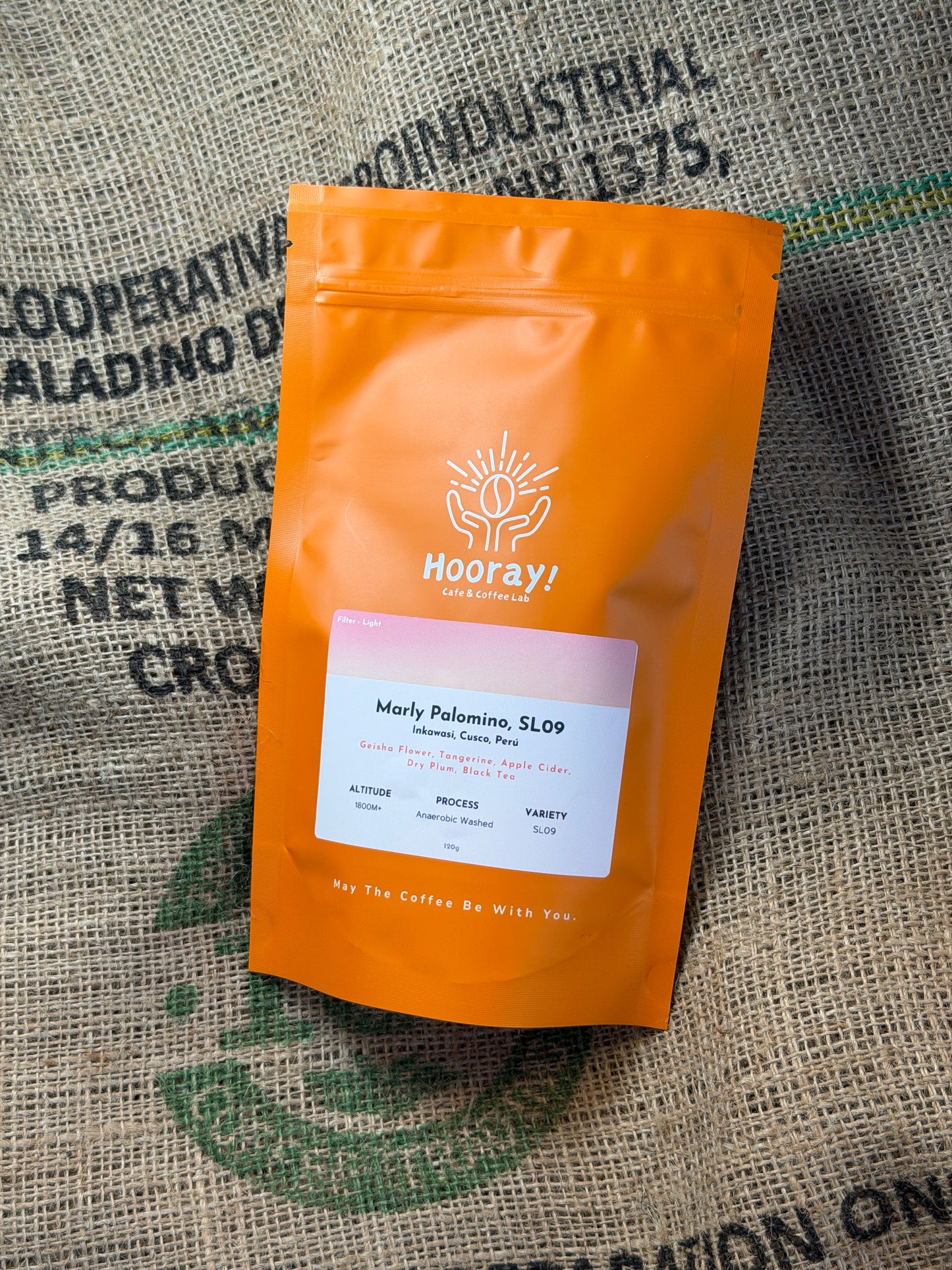 Marly Palomino - Peru | Anaerobic Washed, SL09 [Filter / Light]