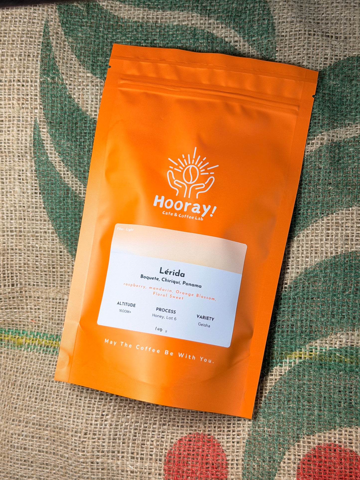 Lerida - Panama | Honey Geisha, Lot 6 [Filter / Light]