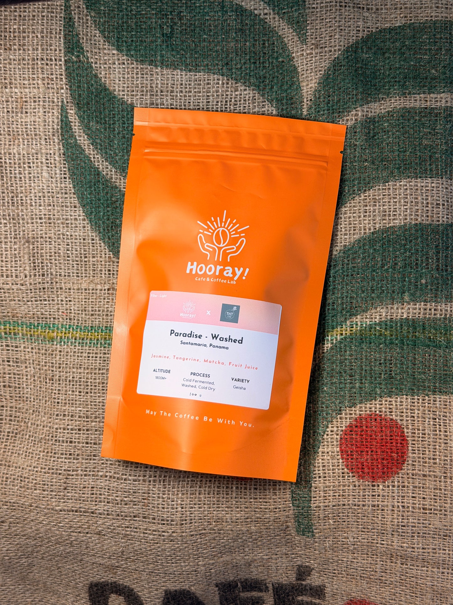 TNT Paradise - Panama | Satamaria, Washed Geisha [Filter / Light]