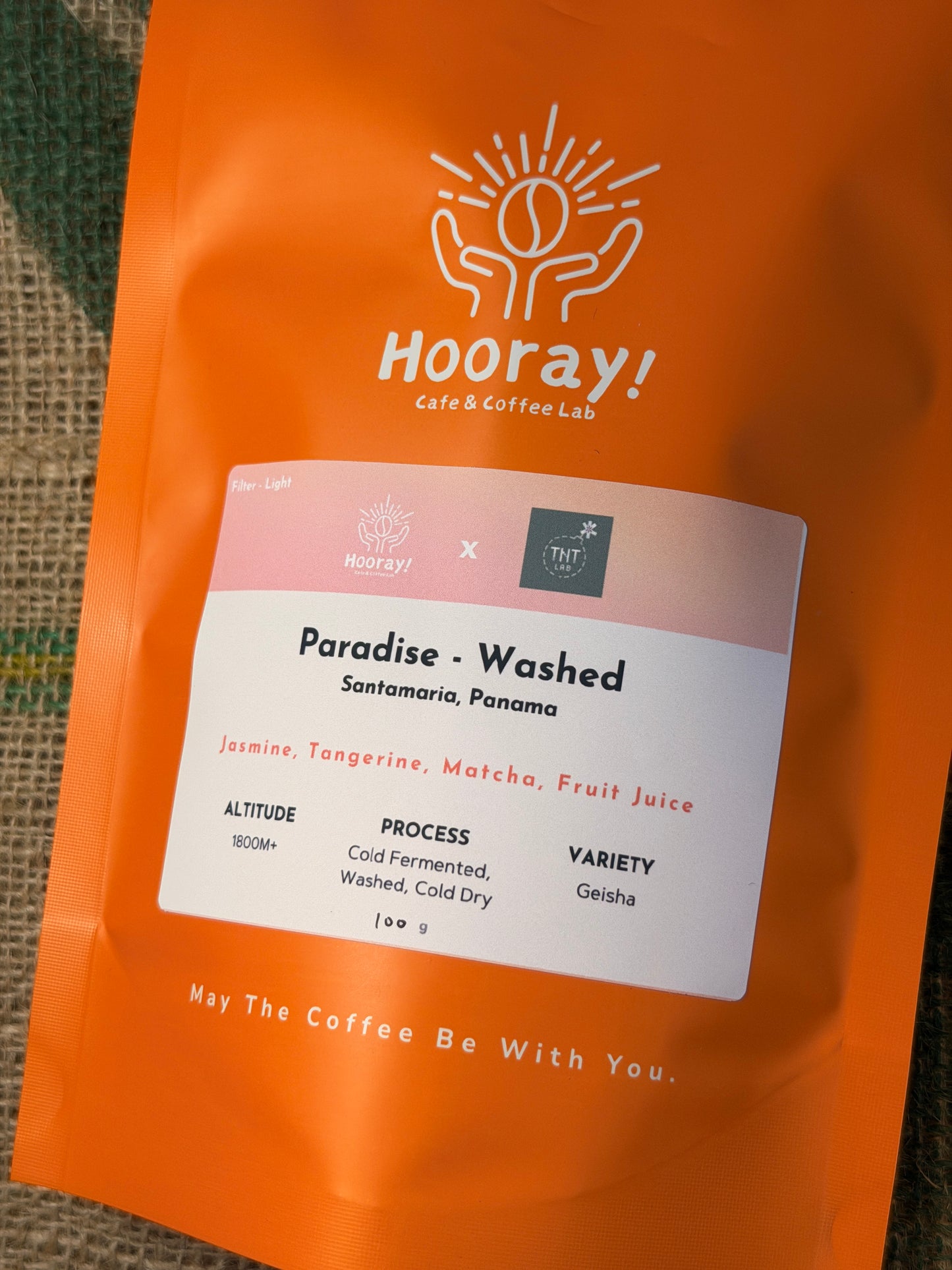TNT Paradise - Panama | Satamaria, Washed Geisha [Filter / Light]