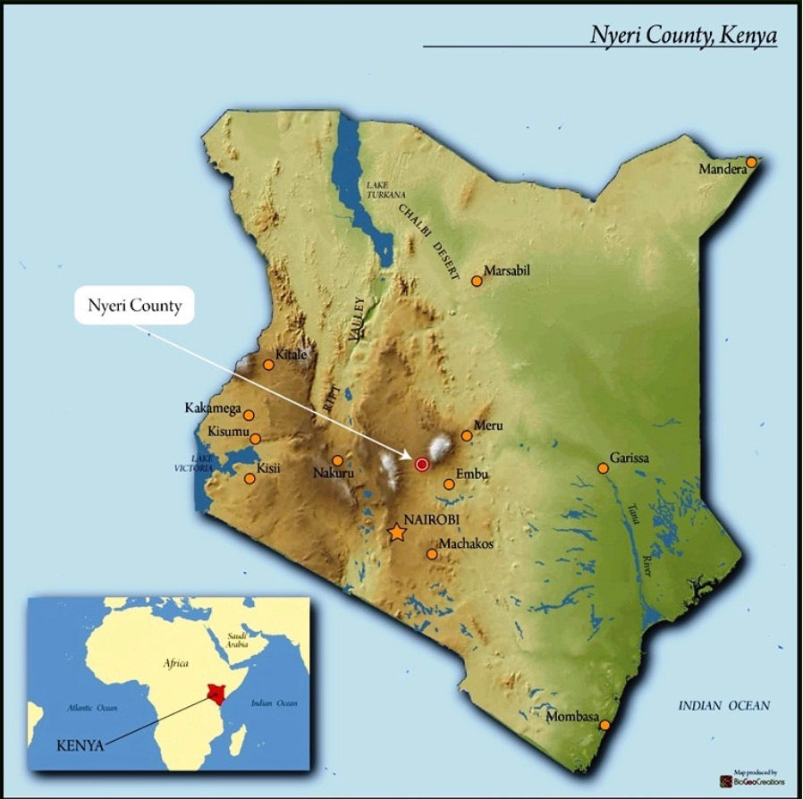 Nyeri - Kenya | Washed, SL28, SL34, Ruiru 11 [Filter]