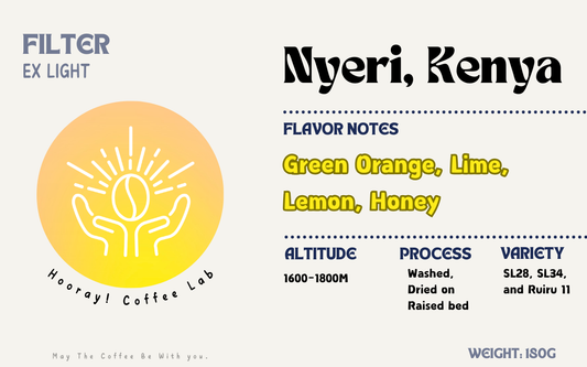 Nyeri - Kenya | Washed, SL28, SL34, Ruiru 11 [Filter]