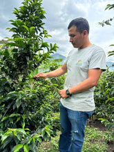 La Estrella - Colombia | Honey, Geisha Lot #5 [Filter]