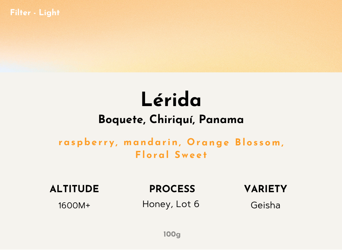 Lerida - Panama | Honey Geisha, Lot 6 [Filter / Light]