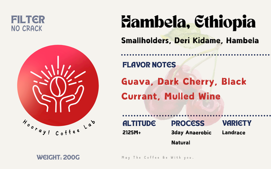 Hambela - Ethiopia | 3days Anaerobic Natural, Landrace Lot [No Crack]