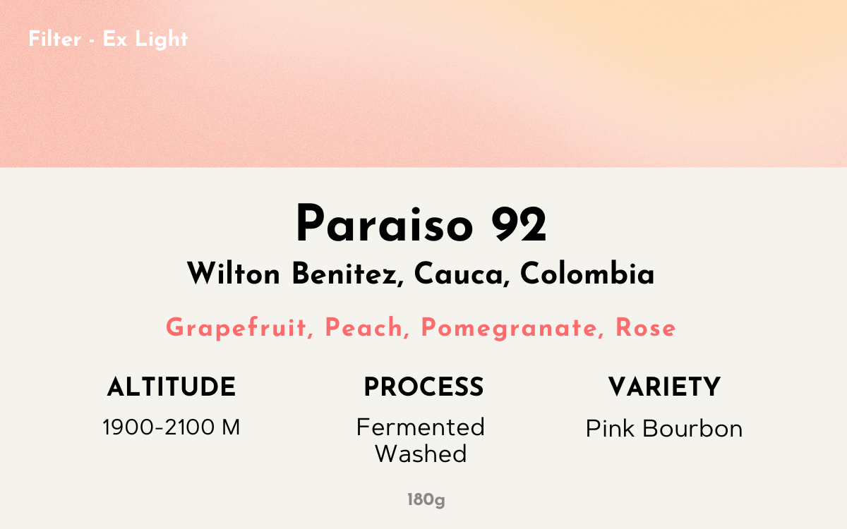 Granja Paraiso 92 - Colombia | Washed, Pink Bourbon [Filter / Ex Light]