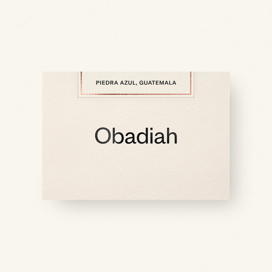 Obadiah | Piedra Azul, Guatemala (Washed)