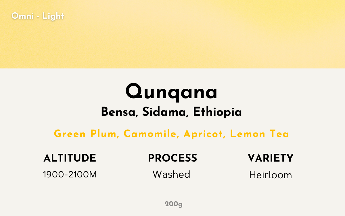 Qunqana - Ethiopia | Washed , Heirloom [Omni / Light]