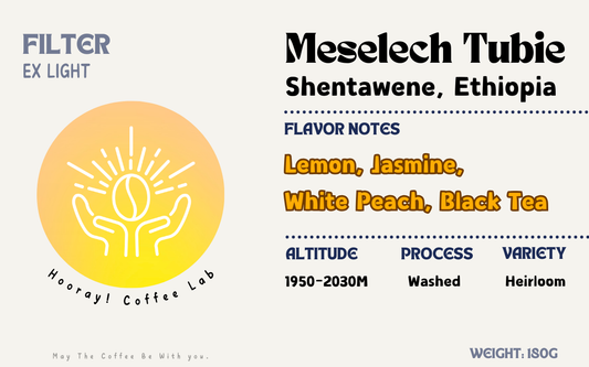 Shentawene - Ethiopia | Washed, Heirloom [Filter]