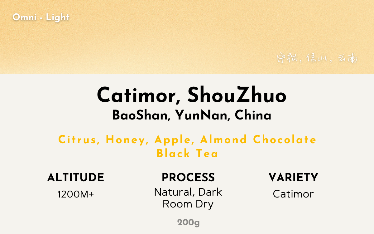 Shouzhuo Agriculture - YunNan | Natural DRD, Catimor [Omni / Light]