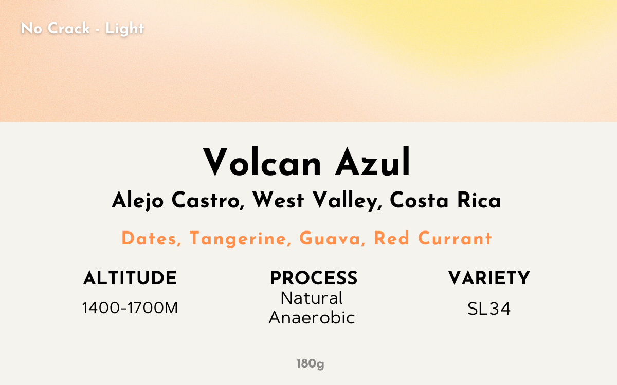 Volcan Azul - Costa Rica | Anaerobic Natural , SL34 [No Crack / Light]