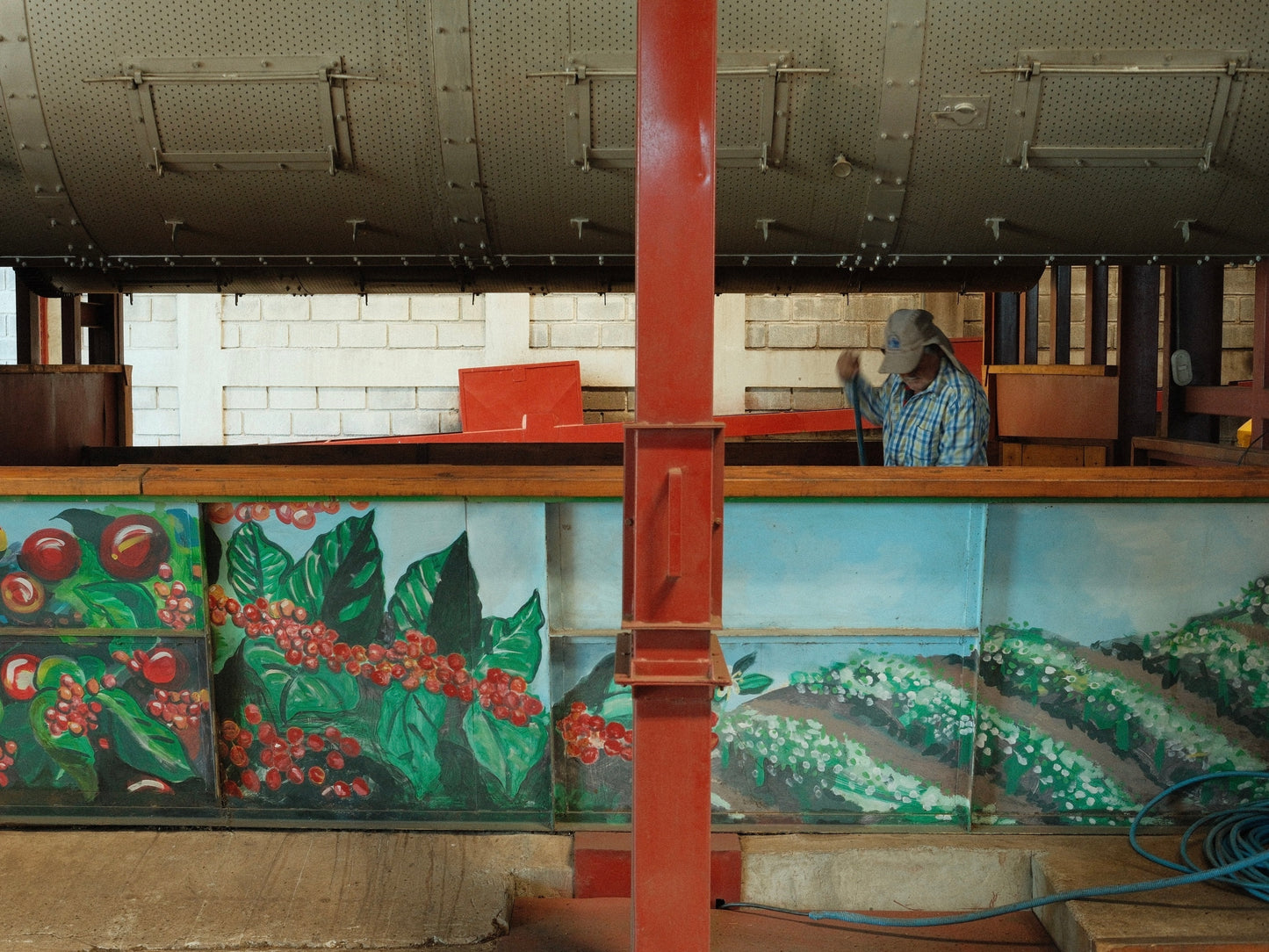 Volcan Azul - Costa Rica | Anaerobic Natural , SL34 [No Crack / Light]