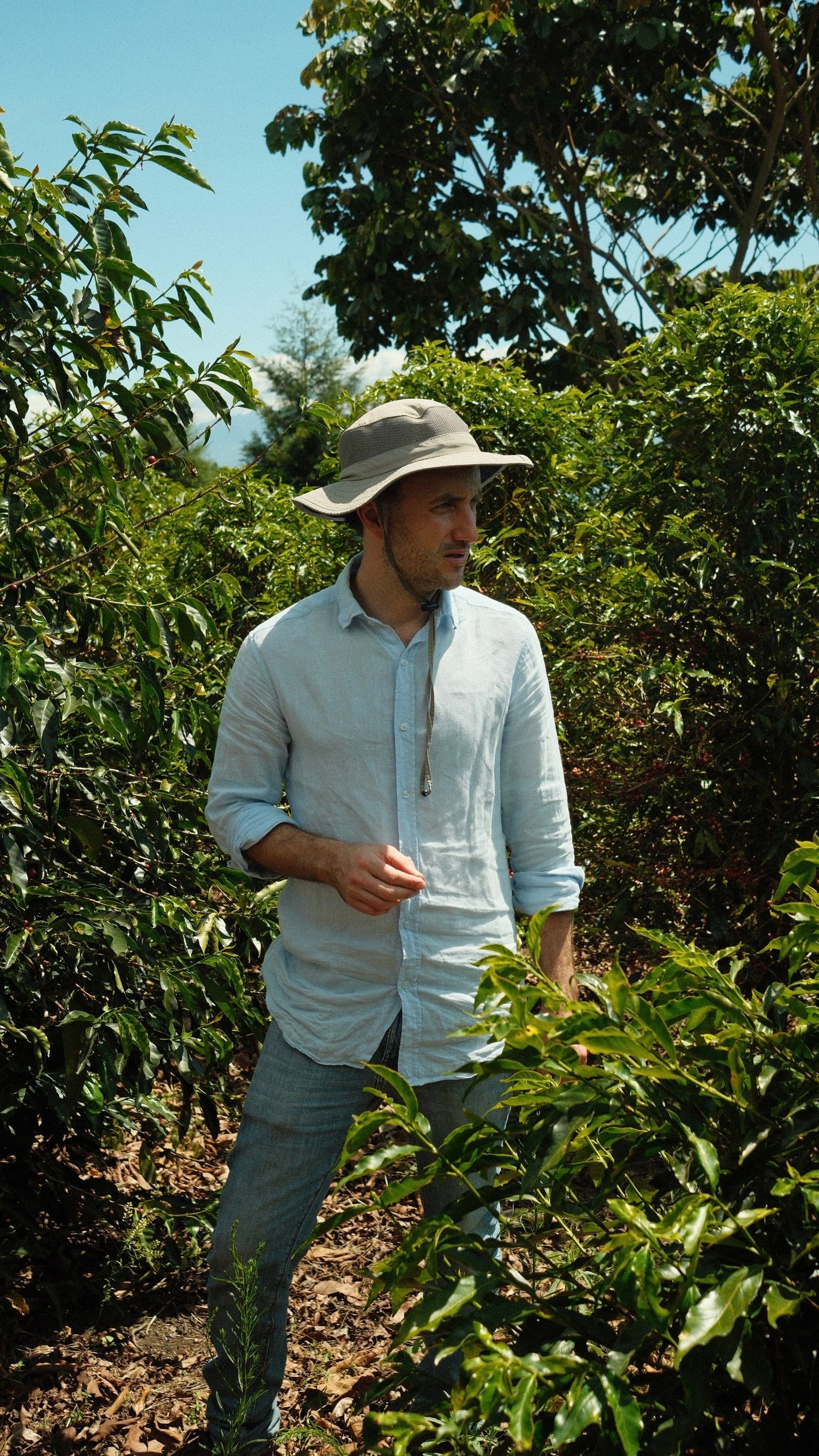 Volcan Azul - Costa Rica | Anaerobic Natural , SL34 [No Crack / Light]