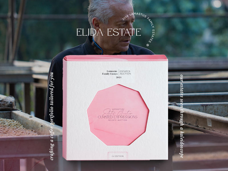 [Pre-Order] Hooray! | Elida Auction Lot GN DRD Vuelta